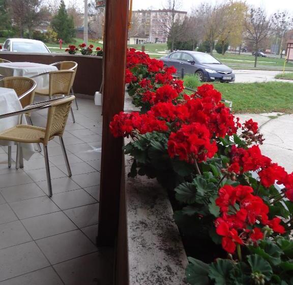 Czermann Panzió és étterem