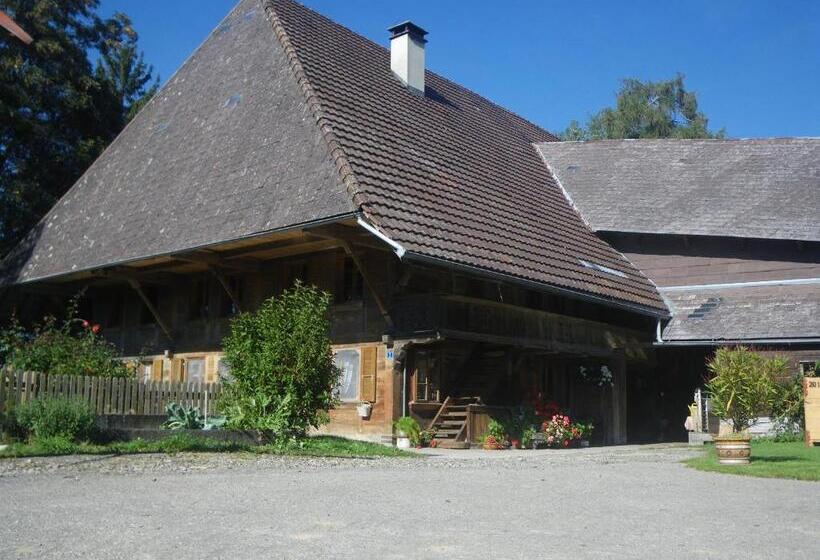 בית מלון כפרי Bühl 3