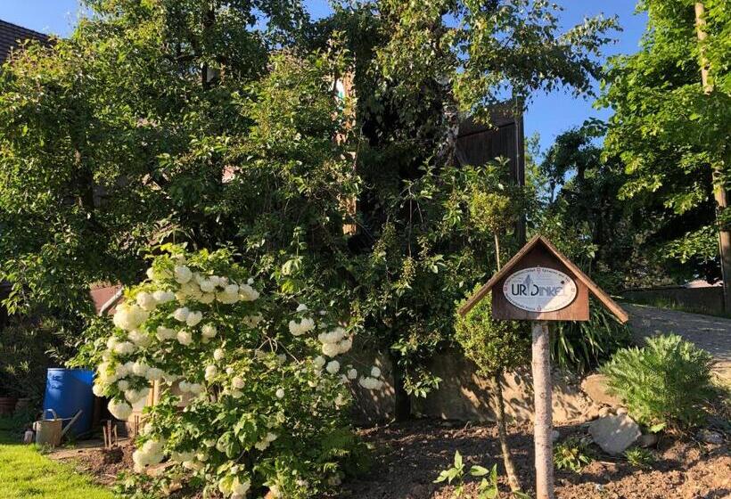 בית מלון כפרי Bühl 3