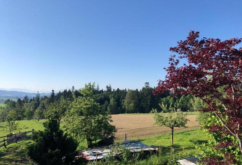 בית מלון כפרי Bühl 3