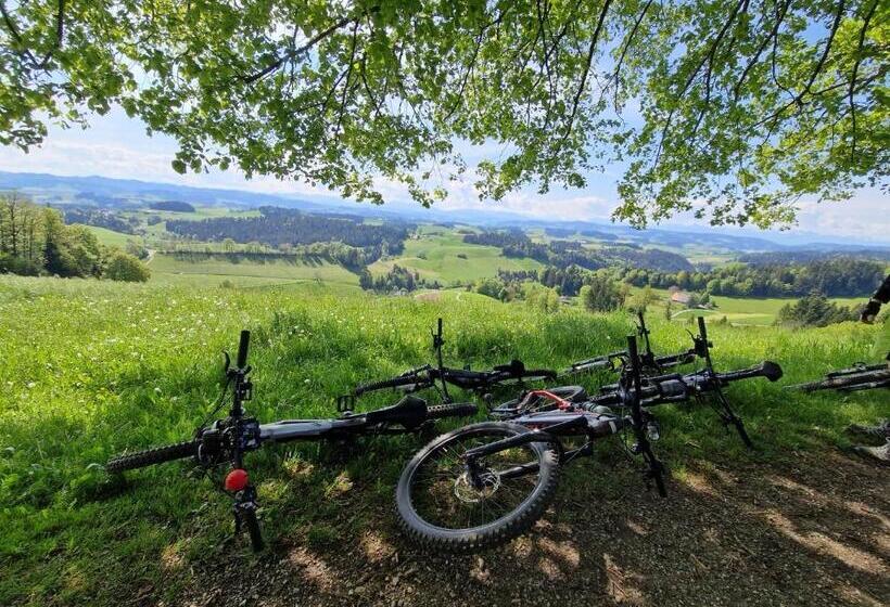 בית מלון כפרי Bühl 3