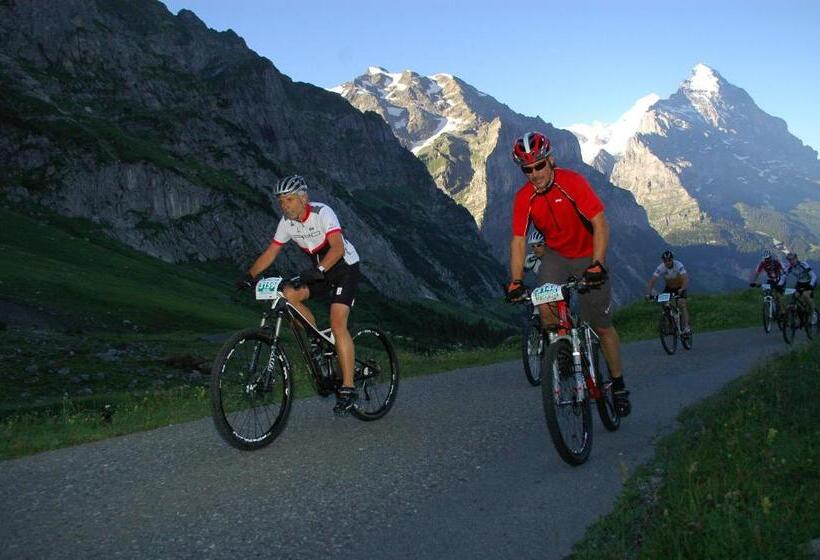 בית מלון כפרי Bühl 3