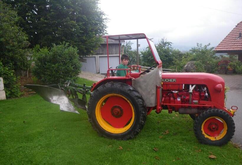 בית מלון כפרי Bühl 3