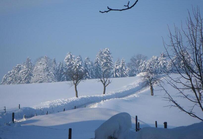 בית מלון כפרי Bühl 3