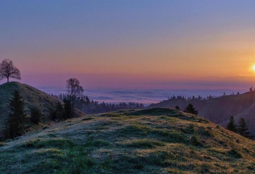 בית מלון כפרי Bühl 3