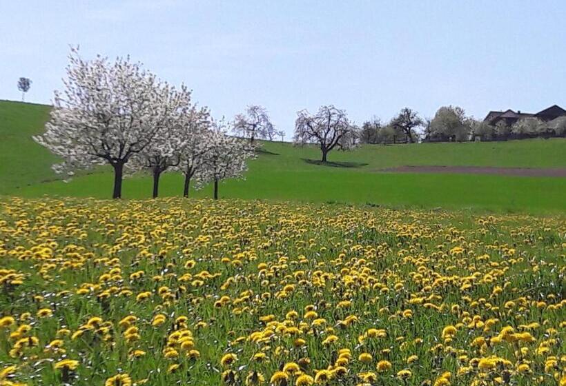בית מלון כפרי Bühl 3