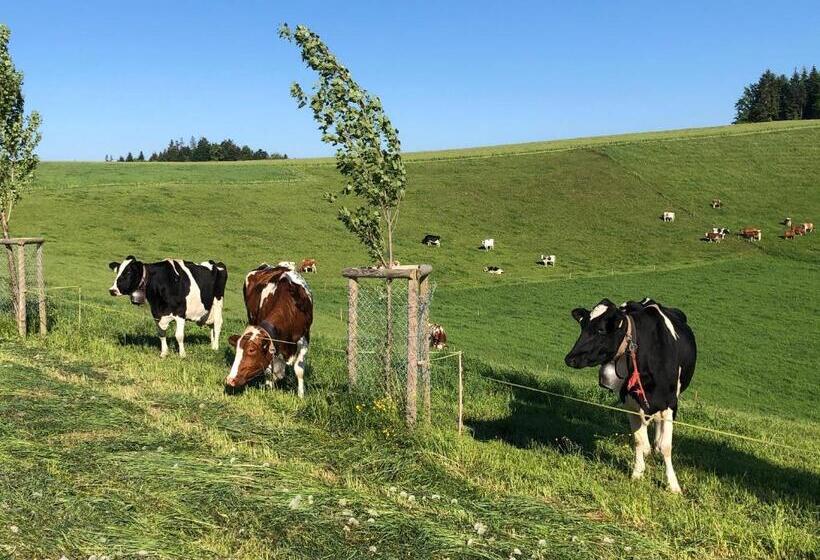 בית מלון כפרי Bühl 3