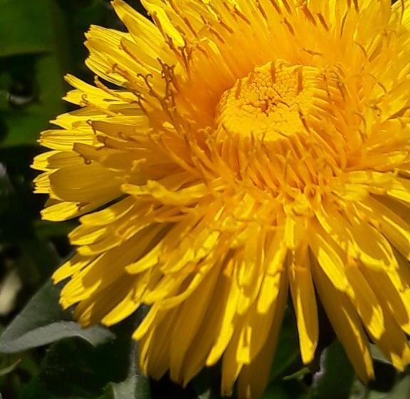 בית מלון כפרי Bühl 3