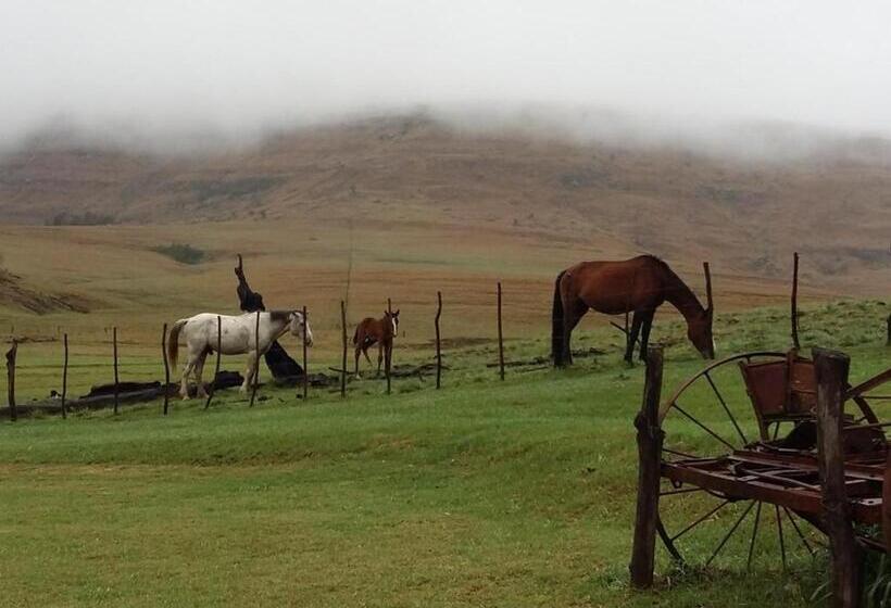 فندق Fairbairn Guest Farm