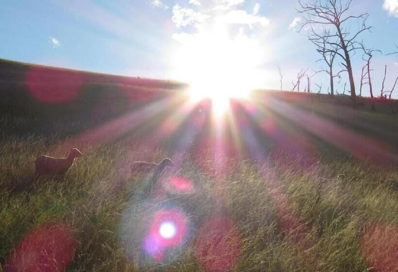 فندق Fairbairn Guest Farm