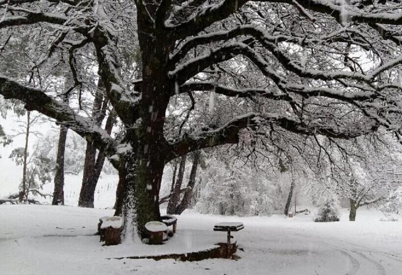 فندق Fairbairn Guest Farm