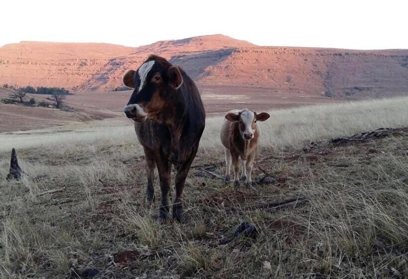 فندق Fairbairn Guest Farm