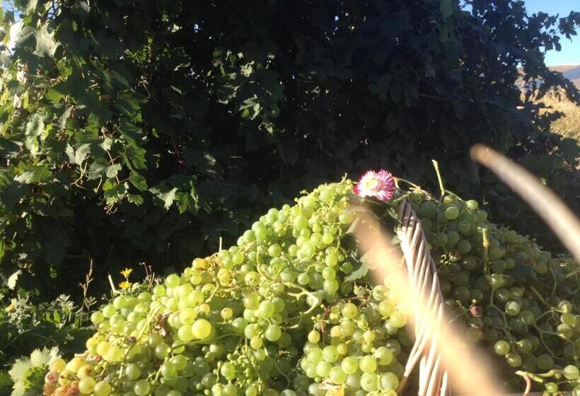 هتل La Calandria Casa De Campo