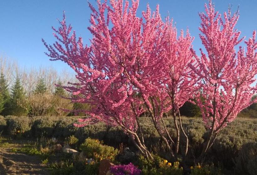 هتل La Calandria Casa De Campo