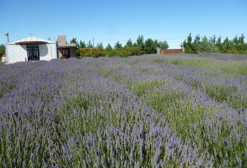 هتل La Calandria Casa De Campo