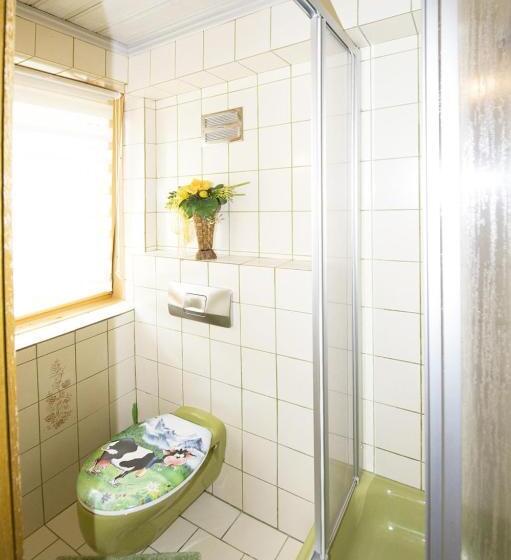 Пансион Alpenhof Grafleiten