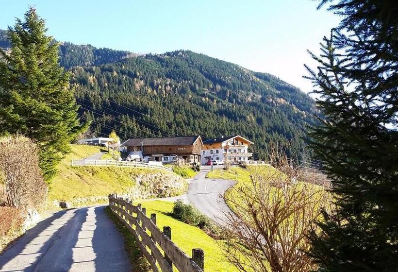 Пансион Alpenhof Grafleiten