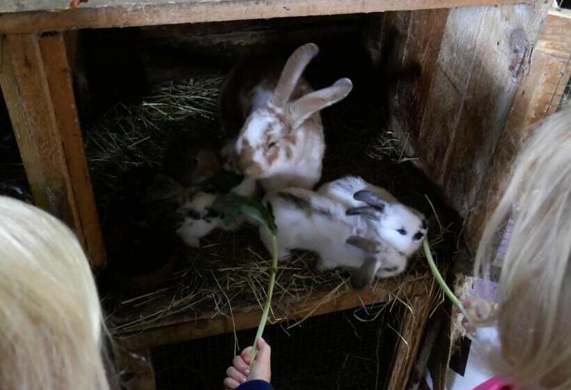 膳宿费 Apartment At Sedliacky Dvor   Brezno