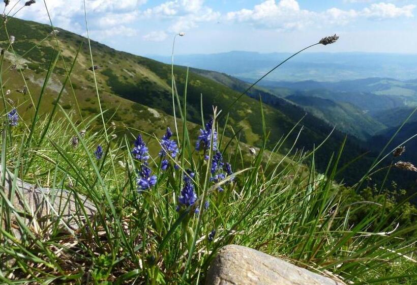 膳宿费 Apartment At Sedliacky Dvor   Brezno
