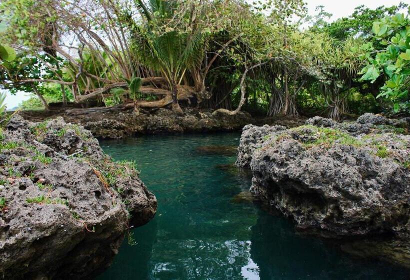 פנסיון Cabinas Cahuita