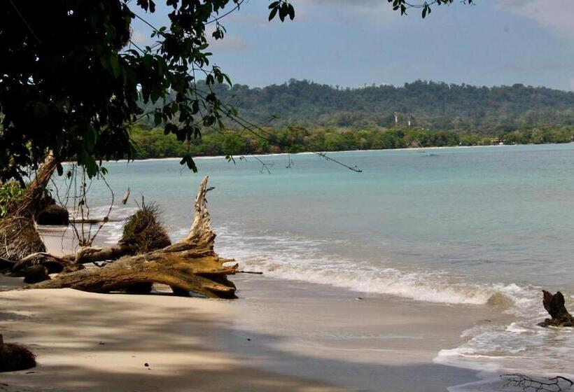 פנסיון Cabinas Cahuita