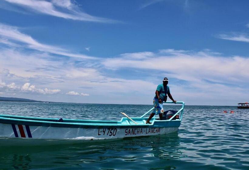 פנסיון Cabinas Cahuita