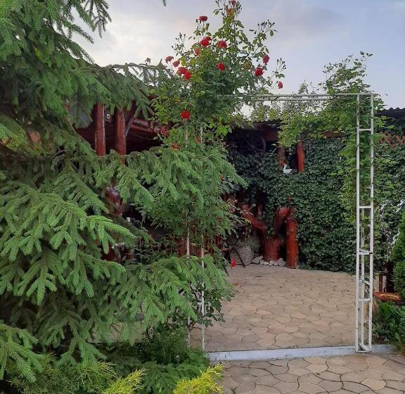 Пансион Casa Neagu