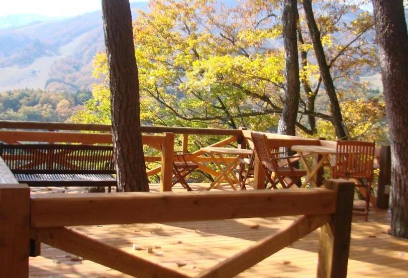 Пансион Earl Grey