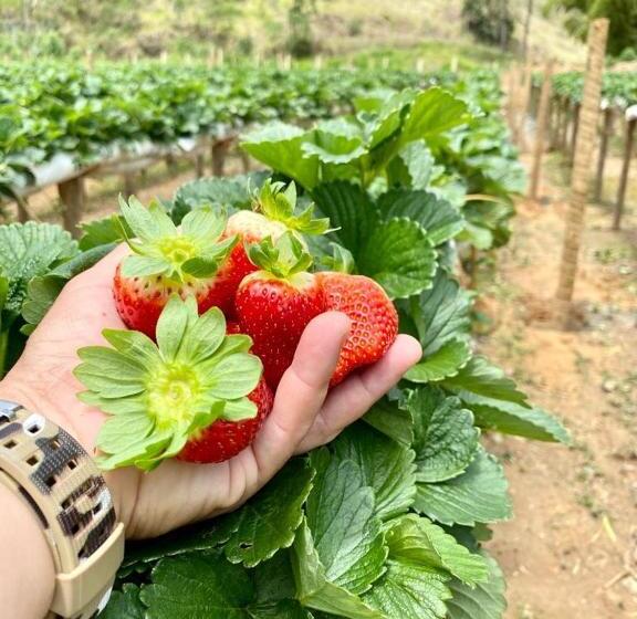 膳宿费 Estação Serramar