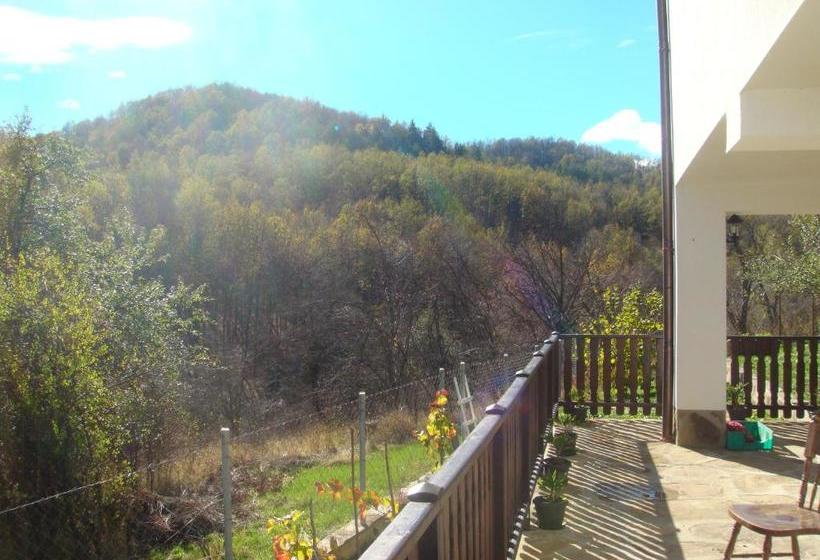 بنسيون Family Hotel And Restaurant Plamena