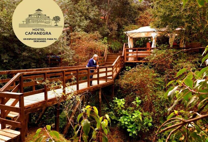 膳宿费 Hostel Capanegra