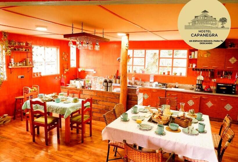 膳宿费 Hostel Capanegra