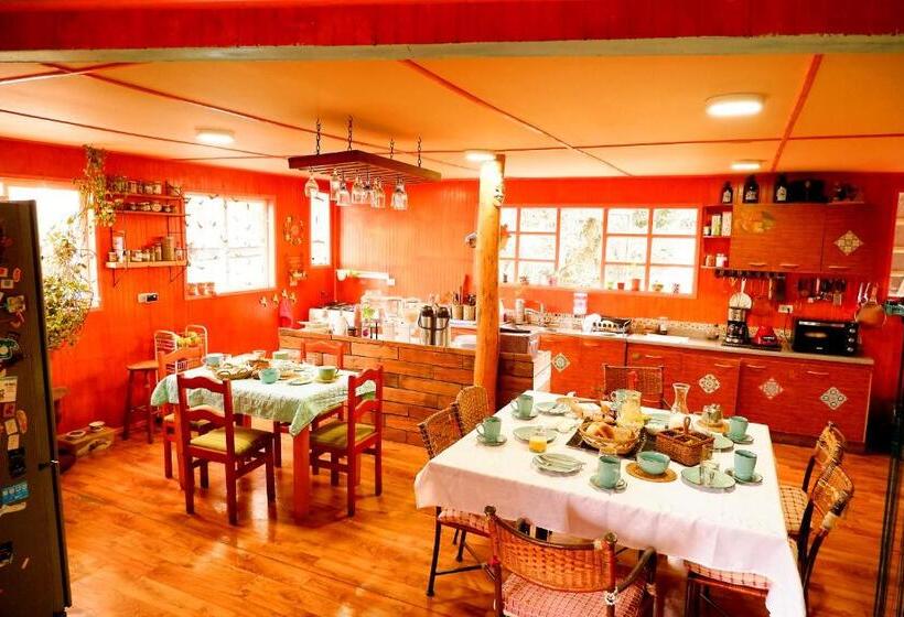 Пансион Hostel Capanegra