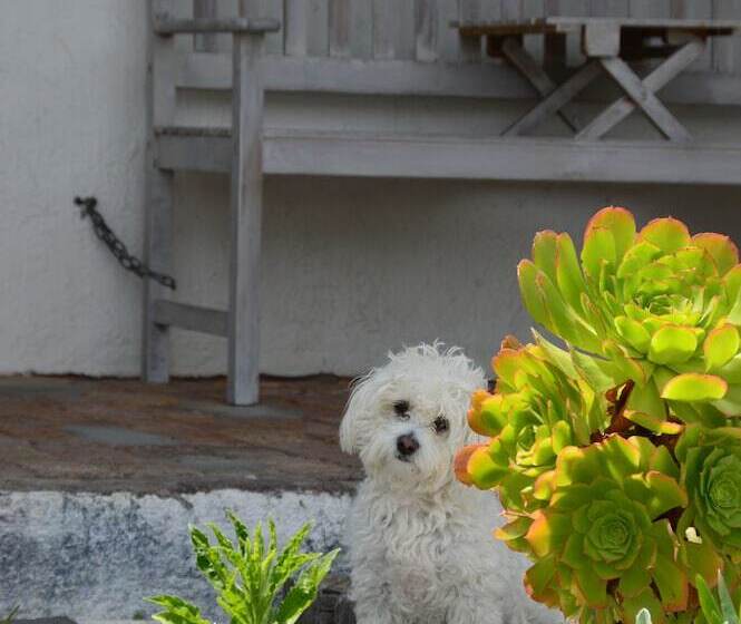 بنسيون Kaijaiki Country Inn And Restaurant