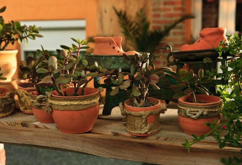 پانسیون La Villa Pergola