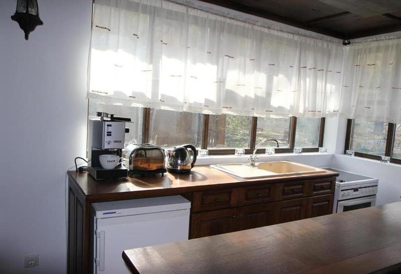 بنسيون New Bakalov House