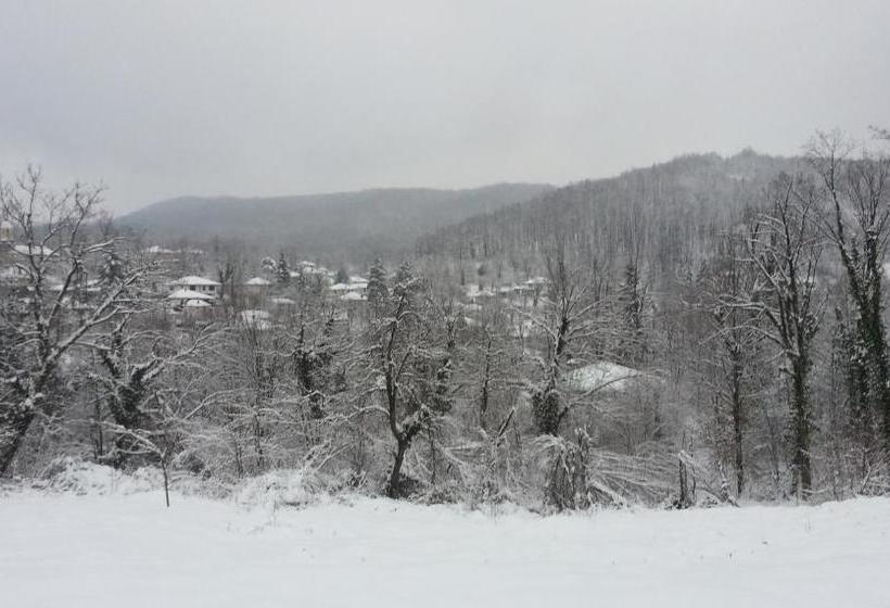 ペンション New Bakalov House