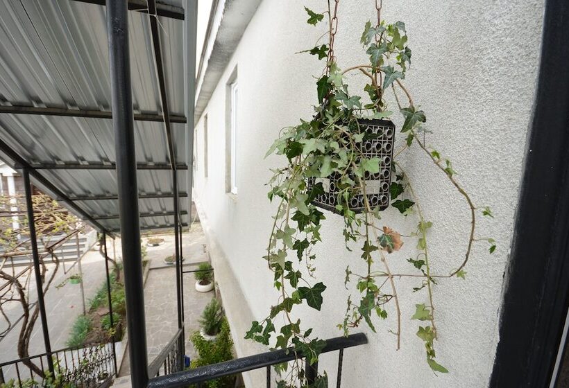 پانسیون Olimpo Guest House