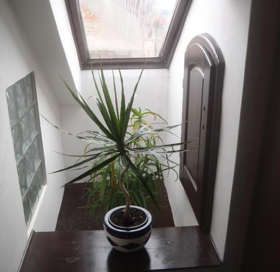 بنسيون Penzion Na Zborově