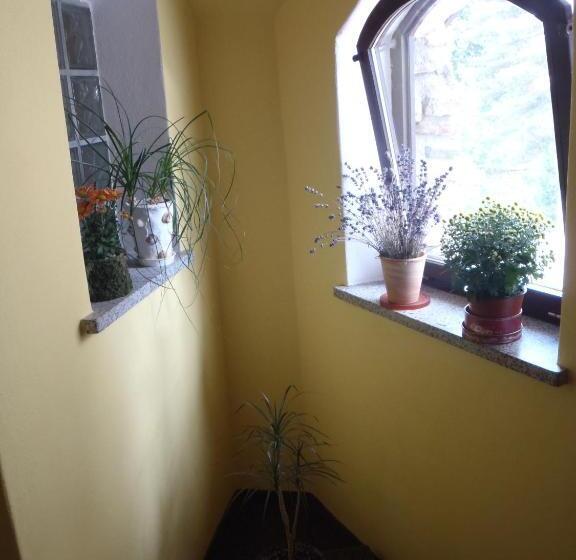 بنسيون Penzion Na Zborově