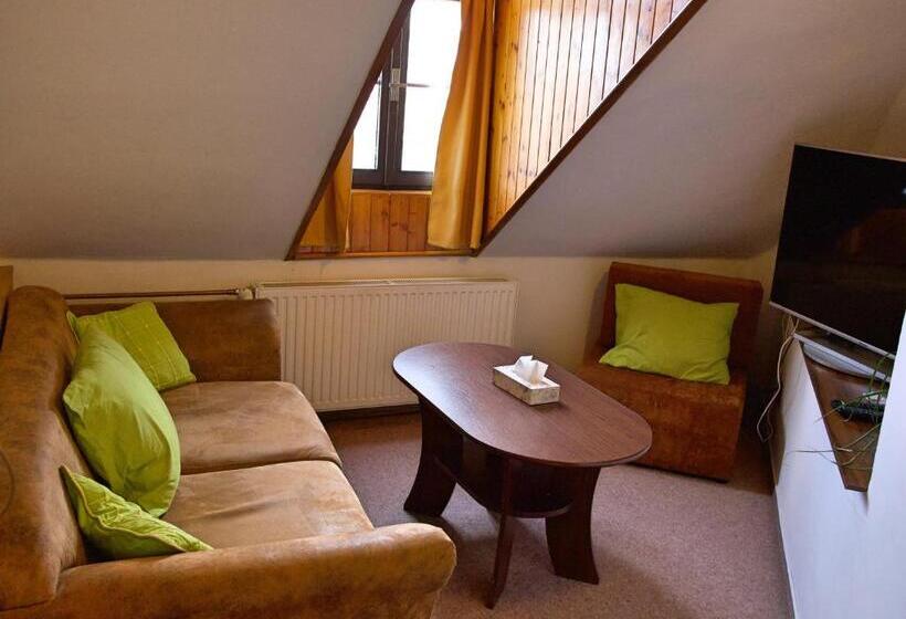 بنسيون Penzion Na Zborově