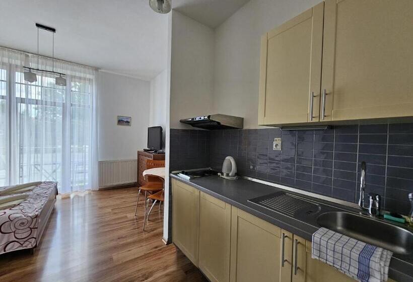 ペンション Penzion Pod Krivanom