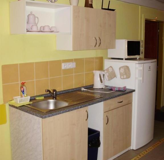 펜션 Penzion U Remízky