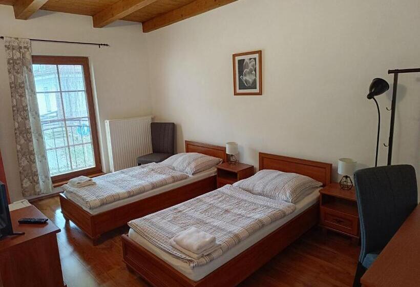 ペンション Penzion V Podzámčí Litomyšl