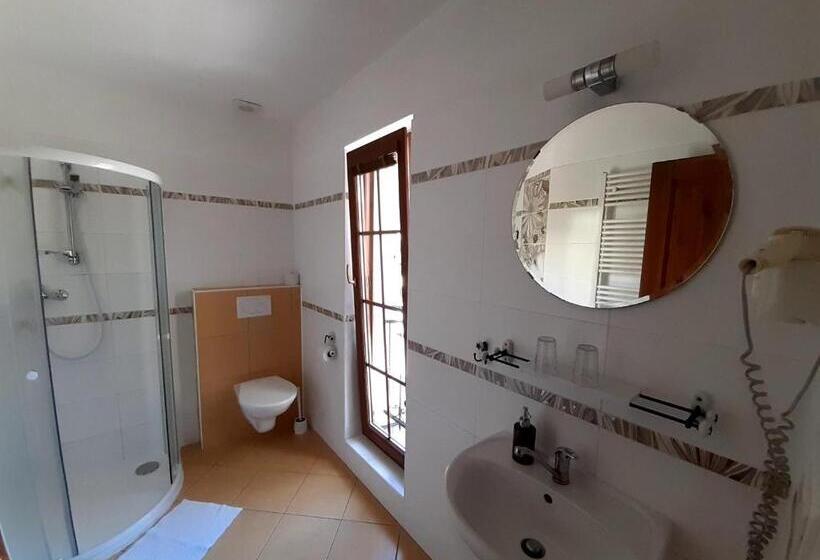 پانسیون Penzion V Podzámčí Litomyšl