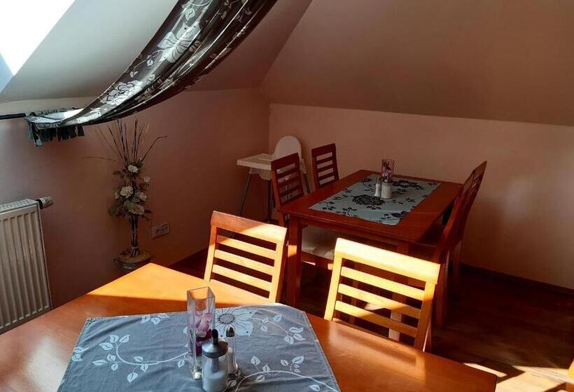 ペンション Penzion V Podzámčí Litomyšl