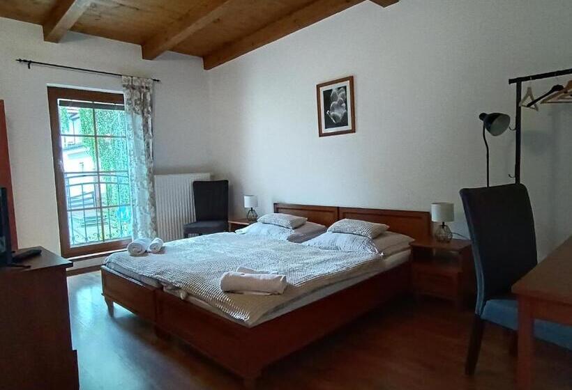 ペンション Penzion V Podzámčí Litomyšl