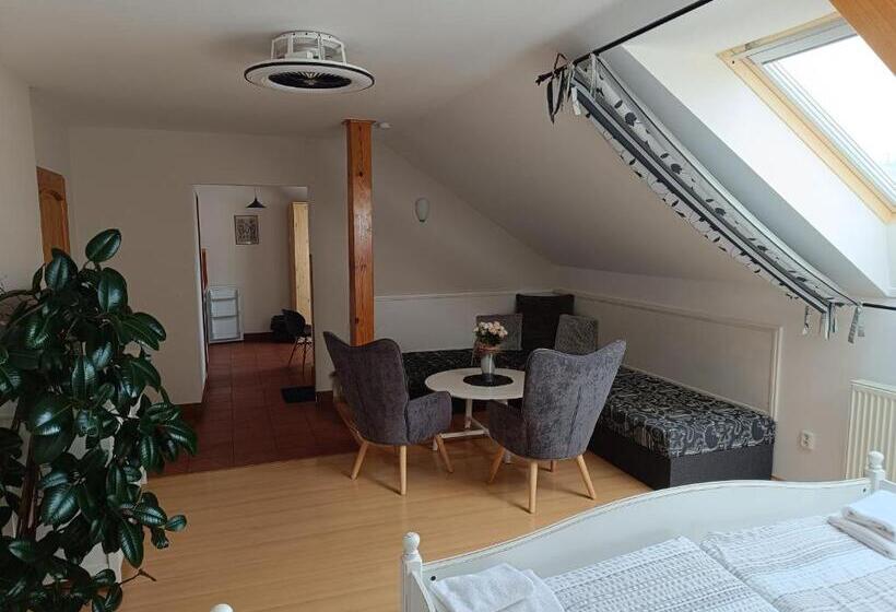 ペンション Penzion V Podzámčí Litomyšl