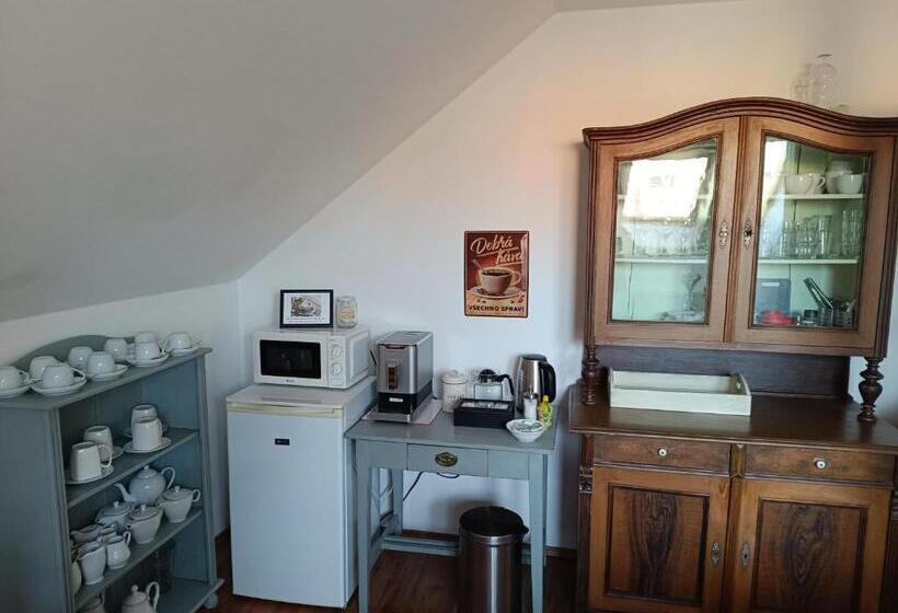 پانسیون Penzion V Podzámčí Litomyšl