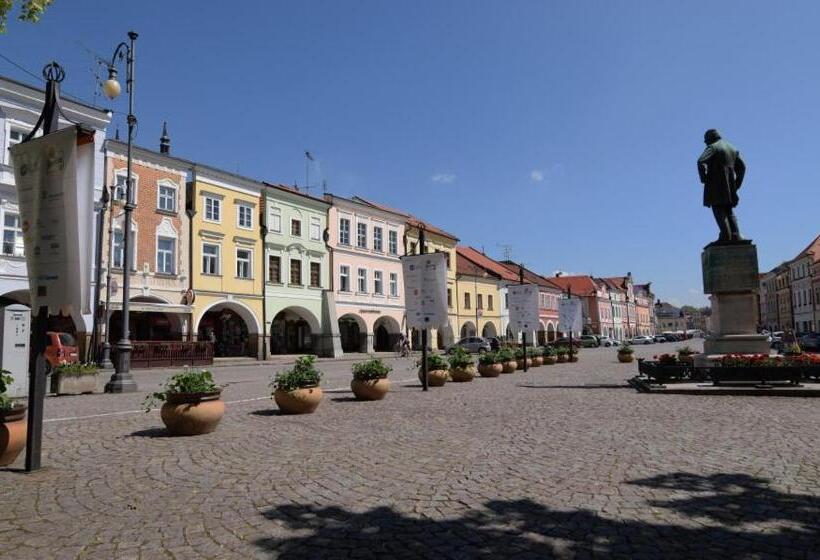 ペンション Penzion V Podzámčí Litomyšl